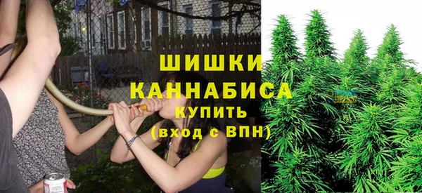 spice Белокуриха